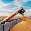 В Волгоградской области собрали 2 млн тонн зерна