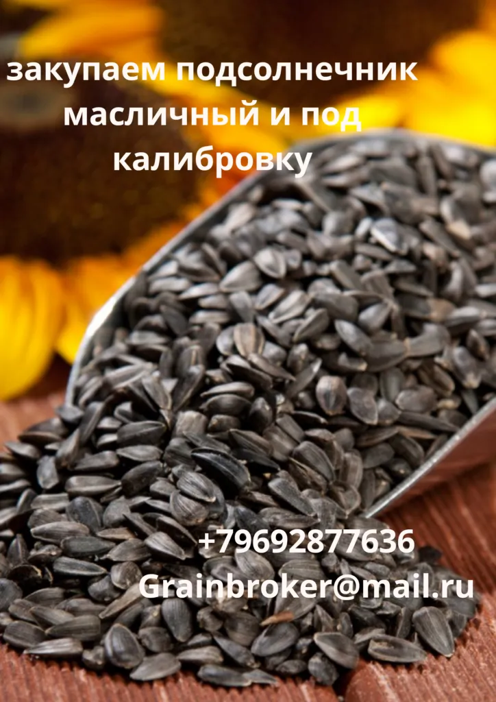 подсолнечник масличный и крупноплодный  в Волгограде